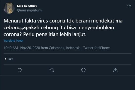 cebong kebal corona