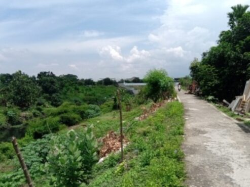 Banyak tanaman tumbuh di tanggul Sungai Pepe Kelurahan Sangkrah, Kecamatan Pasar Kliwon, Solo, Senin (23/11/2020). Seorang pengendara sepeda motor melintasi jalan di tanggul tersebut. (Wahyu Prakoso/Solopos)