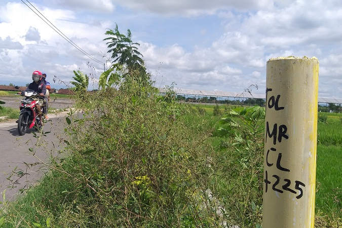 Tanah Kas Desa Ngabeyan Klaten Terdampak Tol, Warga Ramai-Ramai Tawarkan Sawah Sebagai Pengganti