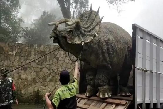 video dinosaurus berita teratas