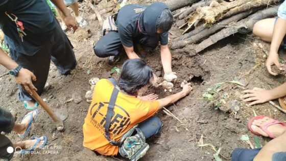 berita paling populer telur sragen python