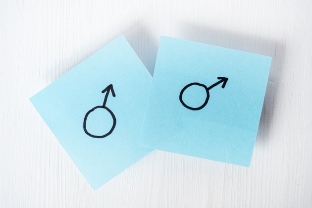 Berkaca dari Kasus Grobogan, Ada 6 Tipe Hubungan di Antara Pasangan Gay
