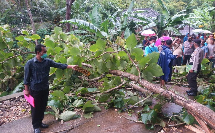 Pulang dari Ladang, Nenek di Paranggupito Wonogiri Pulang dari Ladang, Nenek di Paranggupito Wonogiri