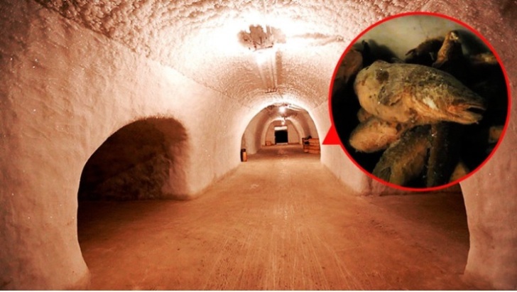 Lemari Es Terbesar Di Dunia Rupanya Ada Di Rusia Solopos Com