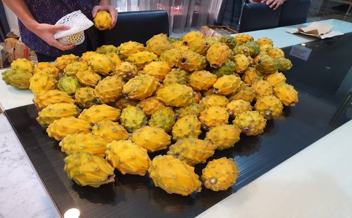 Ada Buah Naga Berwarna Kuning, Ini Penjelasannya