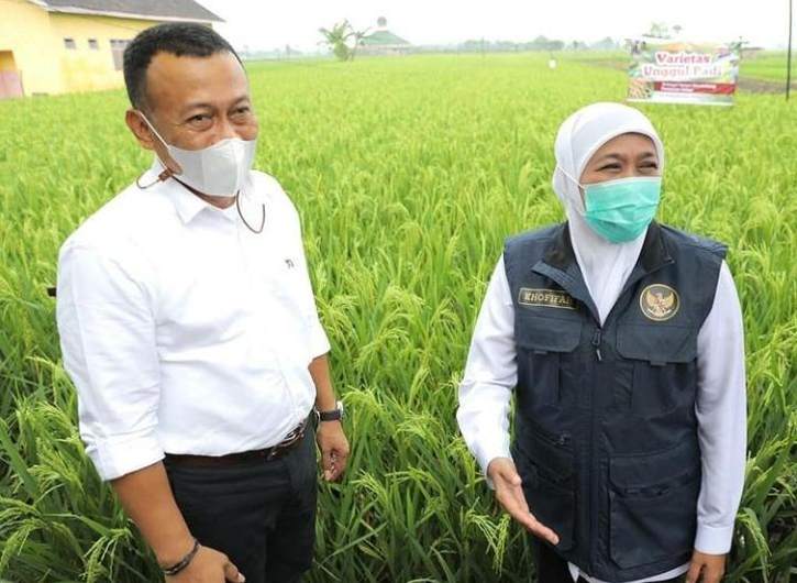Khofifah: Stok Melimpah, Jatim Tak Butuh Beras Impor