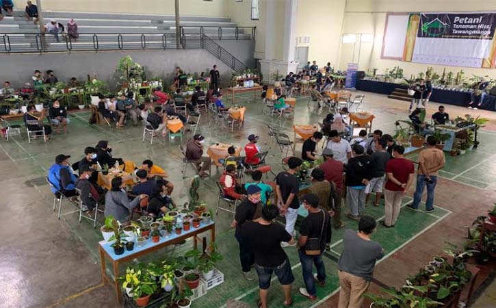 Fantastis Harga Tanaman Hias Di Tawangmangu Dibanderol Rp100 000 Hingga Rp100 Juta