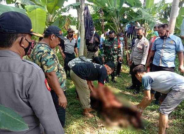 Hilang Sehari, Kakek-Kakek di Ponorogo Ditemukan Tewas di Sungai