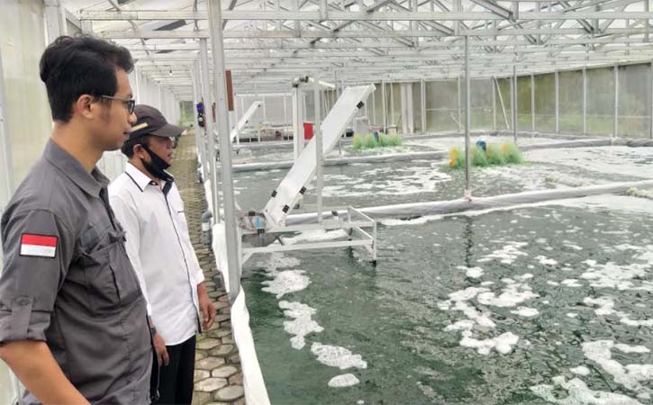 Lokasi pengembangan alga di Sidowayah, Polanharjo, Klaten, Rabu (7/4/2021). (Solopos-Ponco Suseno)