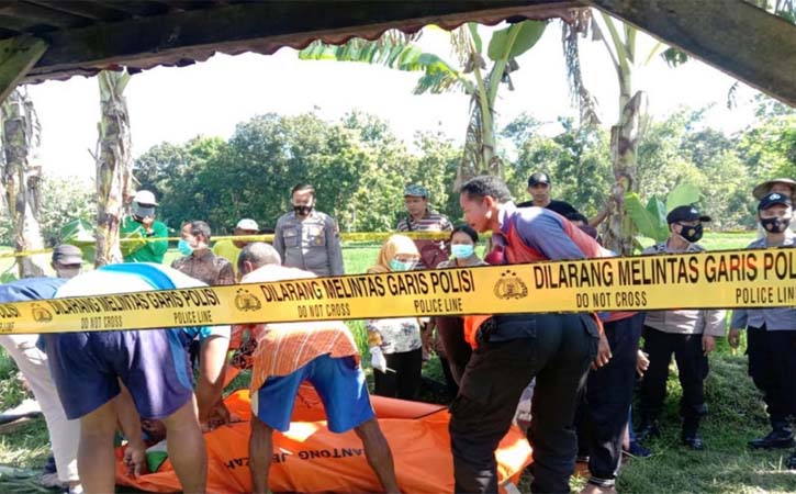 Jebakan Tikus Berlistrik Kembali Makan Korban Petani di Sukodono Sragen