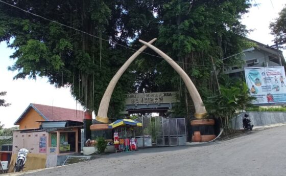 museum sangiran sragen buka