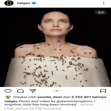 Angelina Jolie (Instagram/@natgeo)