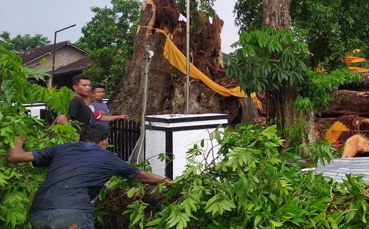Pohon Tumbang di Boyolali Timpa Rumah dan Mobil, 1 Orang Meninggal Dunia