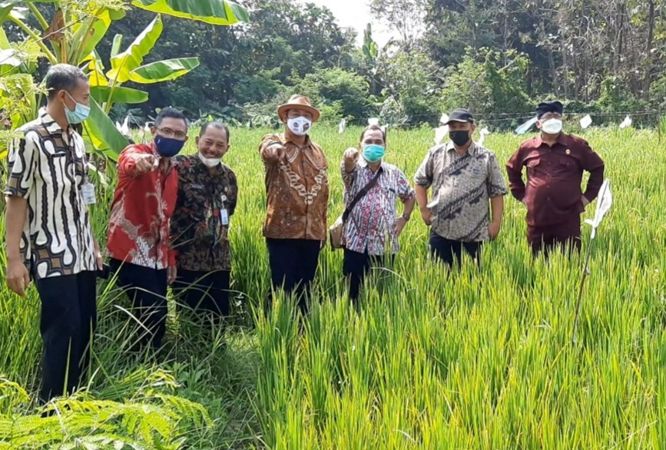 Luas Wilayah Solo Tambah 2,68 Kilometer Persegi, Kok Bisa?