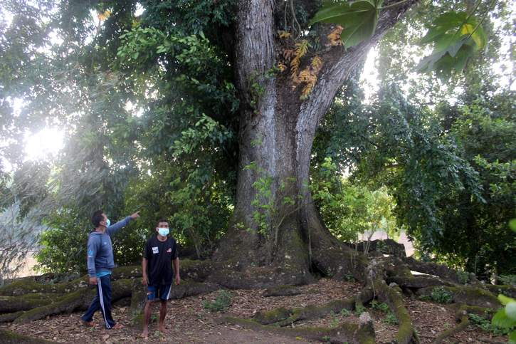 Kisah Dukuh Butuh Sragen, Ada Kandang Buaya dan Terowongan Kalijaga - Vimarsana News