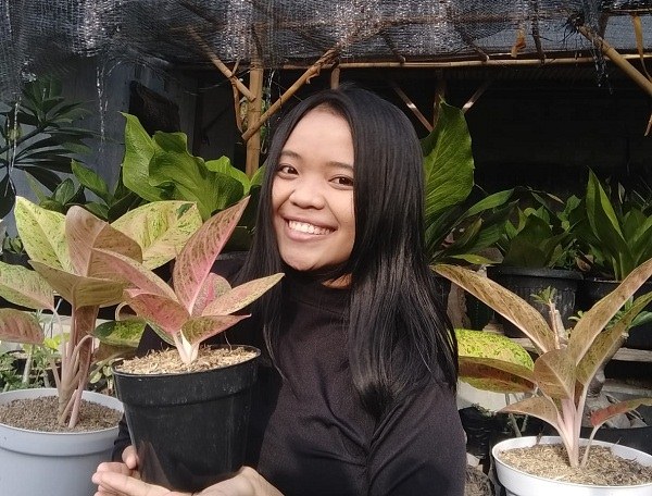 Acasha Nursery Sukoharjo