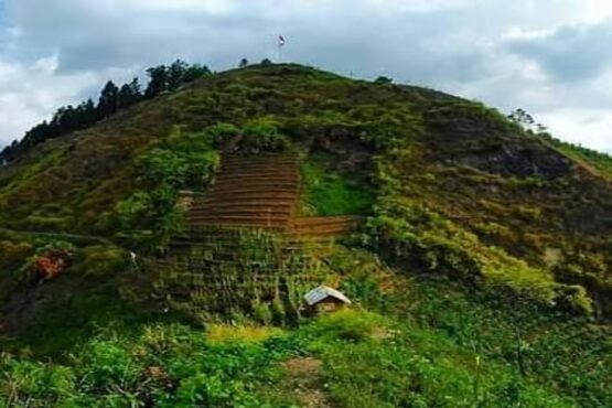 Pemandangan persawahan terasering yang menyejukan mata