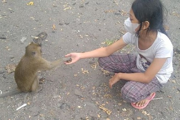 Rest Area di Pemalang Ini Rupanya Markas Kera Ekor Panjang - Vimarsana News