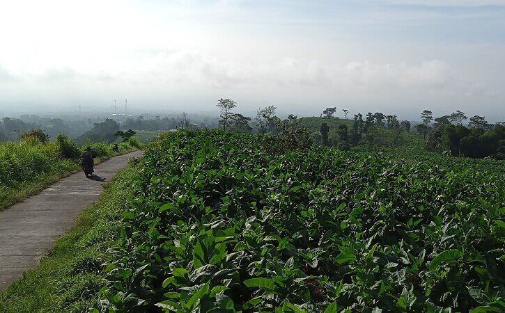 Wisata pemandangan boyolali