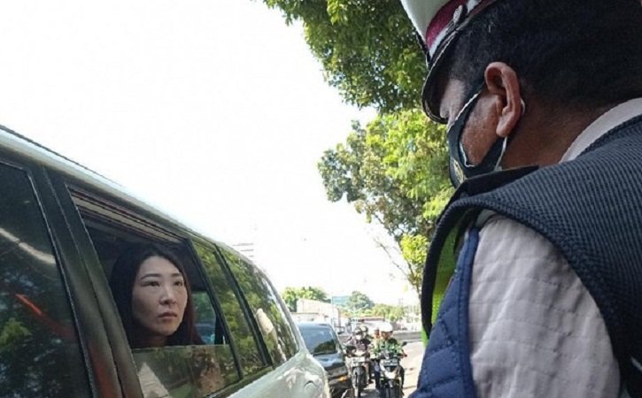 Diberhentikan sebagai Wakil Rakyat, Ini Kesalahan Viani Limardi