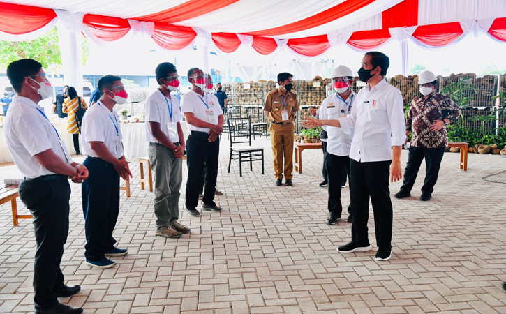 Hasil Menjanjikan, Presiden Jokowi Minta Porang Tak Diekspor dalam Bentuk Mentah