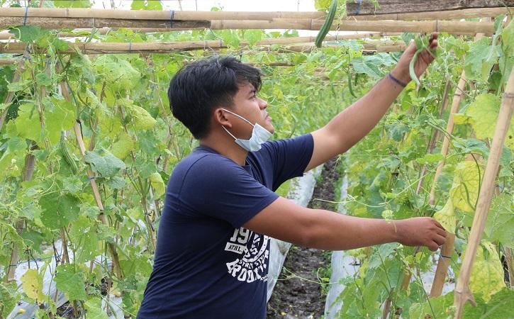 Galih Andika Saputra, 28, petani milenial asal Desa Ngemplak, Kecamatan Kalikotes di lahan pertanian yang dia kelola, Selasa (14/9/2021). (Solopos/Taufiq Sidik Prakoso)