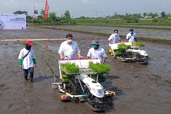Menteri Koordinator Bidang Perekonomian Airlangga Hartarto (tengah) menanam tanaman padi jenis srinuk dengan transplanter saat kunjungan kerja di Sidowayah, Polanharjo, Klaten, Jumat (24/9/2021). (Solopos/Ponco Suseno)