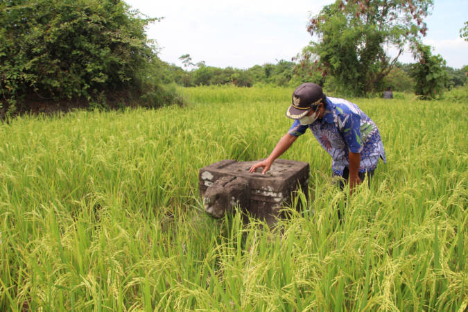 Perangkat Desa Keprabon, Polanharjo, Klaten, menunjukkan yoni dengan ornamen menyerupai kepala hewan di tengah sawah terdampak proyek jalan tol Solo-Jogja, Selasa (21/9/2021). (Solopos/Taufiq Sidik Prakoso)