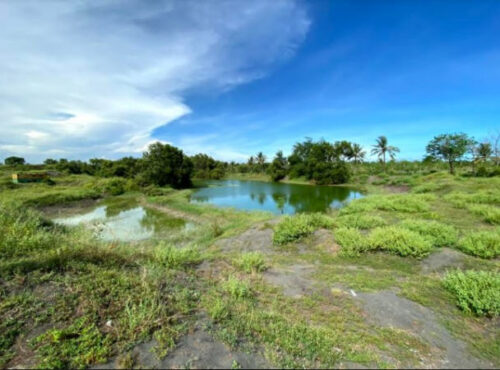 petani pesisir kulonprogo