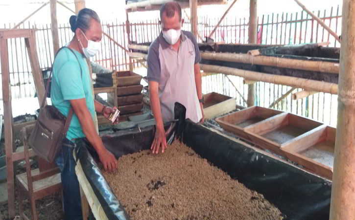 Kelola Sampah Organik dengan Maggot, Omah Limbah Gempol Klaten Wakili Jateng ke Tingkat Nasional