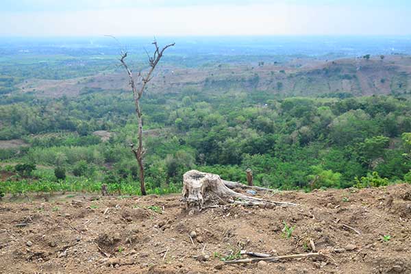 Kondisi kawasan hutan yang gersang di pegunungan Patiayam, Jekulo, Kudus, Jawa Tengah, Kamis (28/10/2021). (Antara/Yusuf Nugroho)