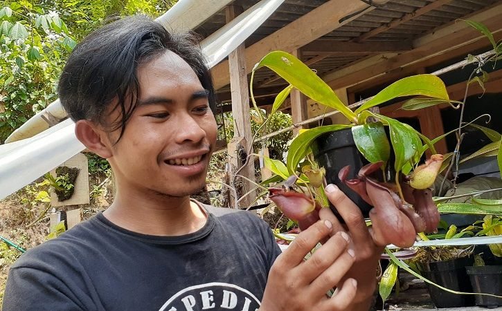 Pemuda dari Desa Kepel, Kecamatan Kare, Kabupaten Madiun berhasil membudidayakan tanaman karnivora, Kamis (29/9/2021). (Abdul Jalil/Madiunpos.com)