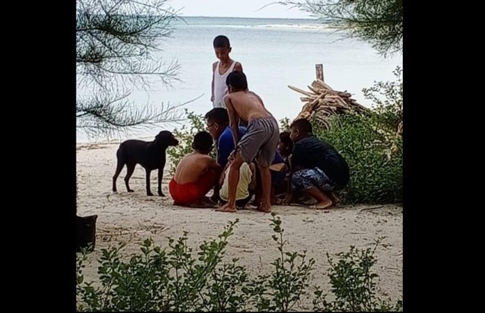 Anjing bernama Canon berinteraksi dengan penghuni Pulau Panjang, Kecamatan Pulau Banyak, Kabupaten Aceh Singkil, beberapa waktu lalu. Canon mati setelah ditangkap untuk dipindahkan oleh Satpol PP Aceh Singkil. (Instagram @rosayeoh)