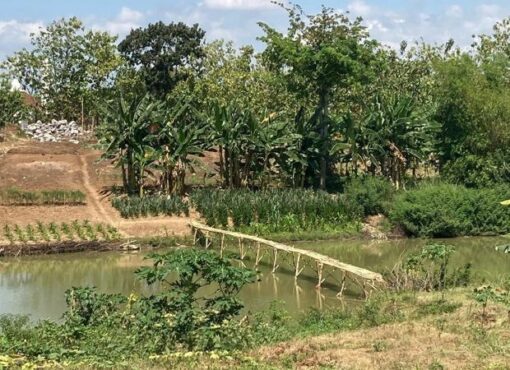 jembatan tambakboyo sukoharjo