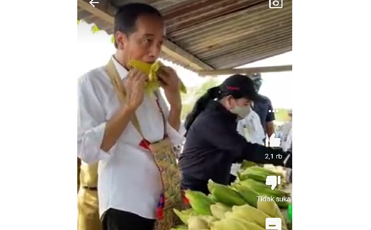 Presiden Joko Widodo didampingi Ketua DPR Puan Maharani makan jagung dalam kunjungan ke Kabupaten Sorong, Papua Barat, Minggu (3/10/2021). (Youtube Setpres)