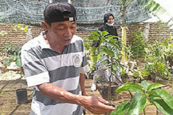 Pria di Kendal, Jawa Tengah (Jateng) sukses menekuni bisnis tanaman setelah terkena PHK imbas pandemi Covid-19. (Suara.com)