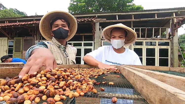 Jelajahi Desa Sejahtera Astra Temanggung, Produsen Kopi dan Wisata Alam