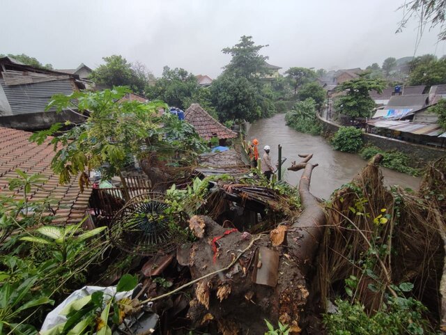 Hujan dan Angin Kencang di Kota Jogja, Begini Dampaknya