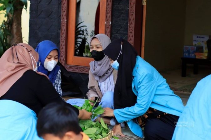 Mahasiswa UNS Solo Bikin Teh Celup dari Benalu, Kok Bisa?