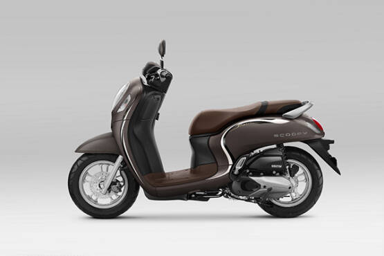 New Honda Scoopy Stylish Brown