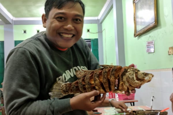 Ikan Kakap Laut jumbo