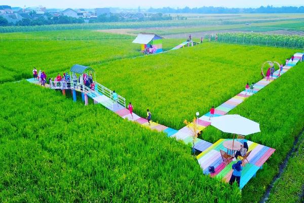 Wisata Susur Sawah, Gatra Kencana Bojongnangka di Kabupaten Pemalang (Instagram/@gatra.kencana.bojongnangka)