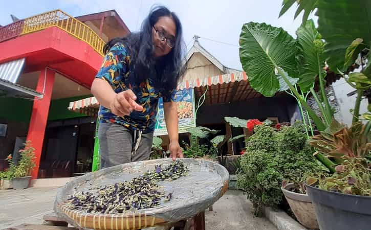 Produk Jamu Langsung Minum Laris, D’Jamoe Madiun Kembangkan Jamu Bubuk
