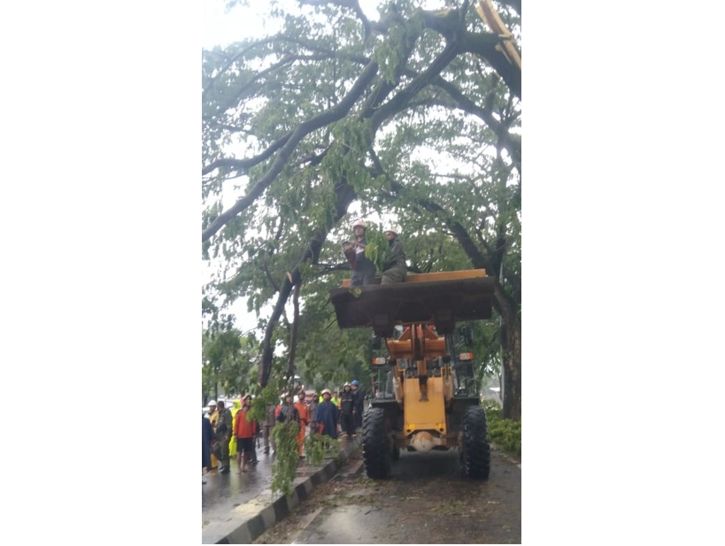 Tim BPBD Bantul bersama sejumlah sukarelawan melakukan evakuasi sejumlah pohon tumbang di wilayah Bantul pada Selasa (7/12/2021). (Istimewa/BPBD Bantul)