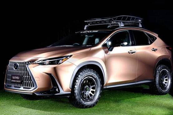 Lexus off road