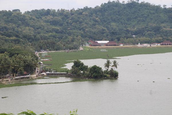 Kawasan permukaan perairan sisi timur Rawa Jombor, Desa Krakitan, Kecamatan Bayat, Klaten, tertutup eceng gondok, Minggu (23/1/2022). (Solopos.com/Taufiq Sidik Prakoso)