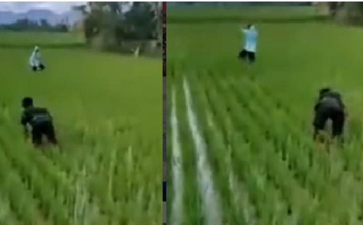 Potongan video dua pemuda yang bercocok tanam untuk menghindari operasi lalu lintas. (Instagram/@ndorobeii.official)