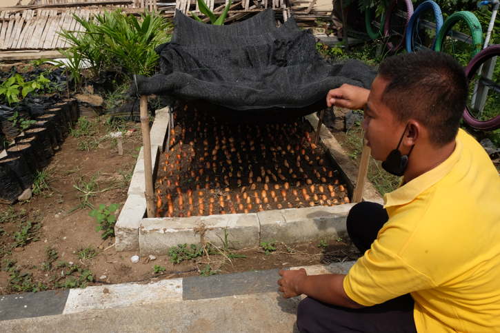 Kebun agri jaya SMKN 1 Kedawung Sragen