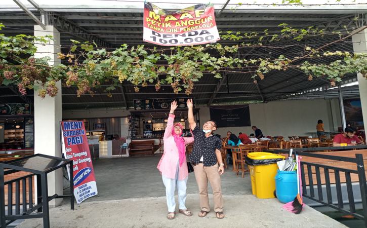 Nikmatnya Makan di Restoran Sambil Belajar Berkebun Anggur di Boyolali