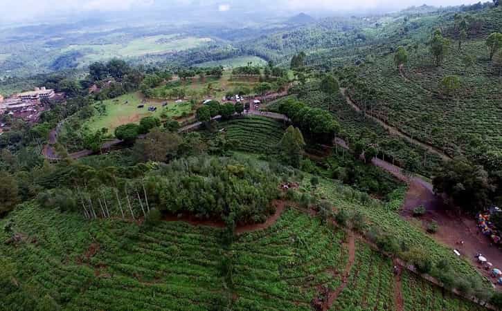 Ini 9 Wisata Ciamik di Ngawi, Ada Pesona Alam dan Kerajinan Kayu Jati